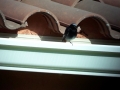 20190420_105446