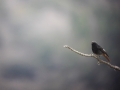 20190318_134002