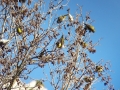 20190320_173915