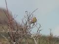 20190331_153211