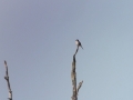 20190412_111942