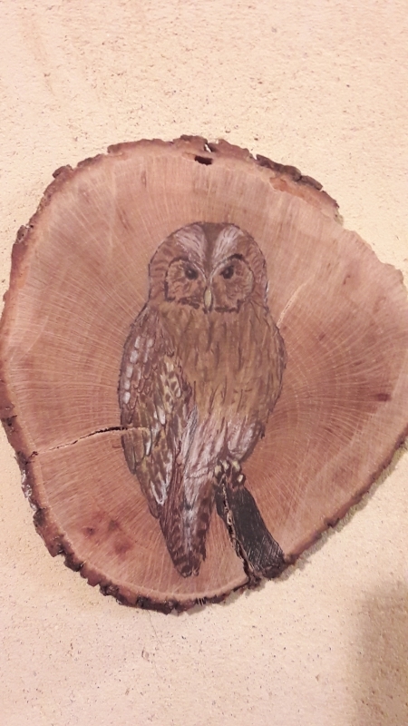 Tawny owl on Oak / Cárabo común sobre Roble. SOLD / VENDIDO