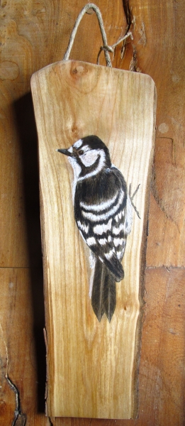 Lesser spotted woodpecker male and female on Cherry tree / Pico menor macho y hembra sobre Cerezo