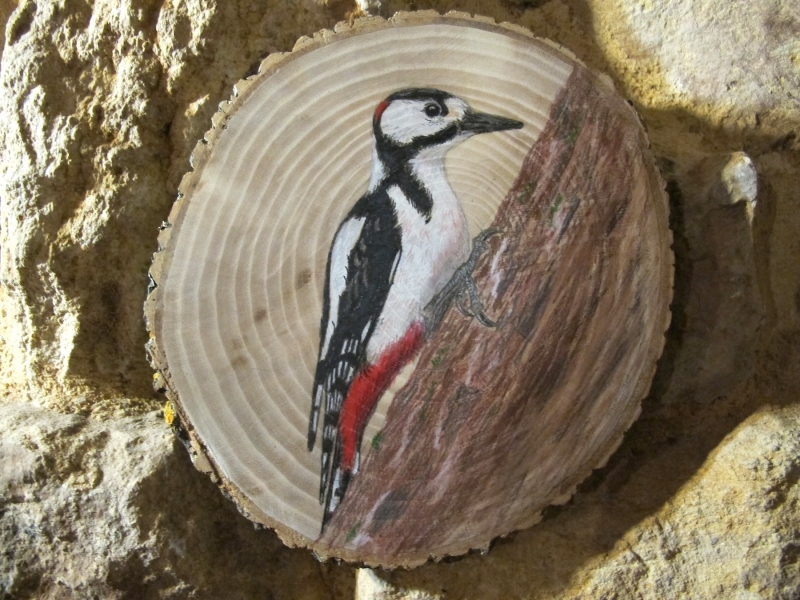 Great spotted woodpecker on Oak / Pico picapinos sobre Roble. SOLD / VENDIDO