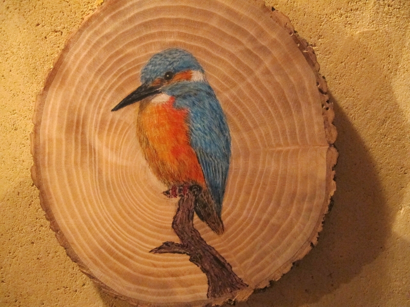 Common kingfisher on Oak / Martín pescador sobre Roble. SOLD / VENDIDO