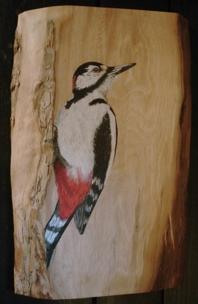 Great spotted woodpecker on Pear wood / Pico picapinos sobre Peral.