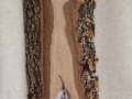 Short-toed  treecreeper on Oak / Agateador europeo sobre Roble. SOLD / VENDIDO