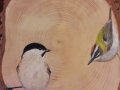 Marsh tit and Firecrest on Ash / Carbonero palustre y Reyezuelo listado sobre Fresno