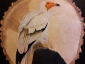 Egyptian Vulture on Ash and Slate / Alimoche común sobre Fresno y Pizarra. VENDIDO / SOLD