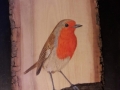 European Robin on Ash and Cherry tree / Petirrojo sobre Fresno y Cerezo . VENDIDO / SOLD