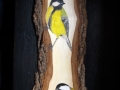 Great and Coal tit on Ash / Carboneros común y garrapinos sobre Fresno.  VENDIDO / SOLD