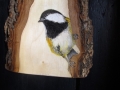 Great and Coal tit on Ash / Carboneros común y garrapinos sobre Fresno. Detail / Detalle. VENDIDO / SOLD
