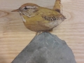 Eurasian wren on Ash / Chochín sobre Fresno. SOLD / VENDIDO