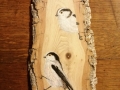Long-tailed tit on Oak / Mito sobre Roble