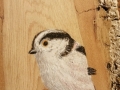 Long-tailed tit on Oak / Mito sobre Roble