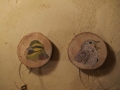 Cirl and Corn Buntings on Oak / Escribanos soteño y triguero sobre Roble. SOLD / VENDIDO
