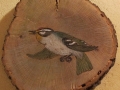 Firecrest on Oak / Reyezuelo listado sobre Encina. SOLD / VENDIDO