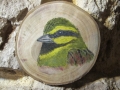 Cirl and Corn Buntings on Oak / Escribanos soteño y triguero sobre Roble. SOLD / VENDIDO